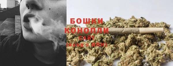 гашик Володарск